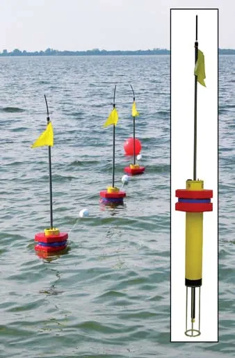 A line of three AGS sensor floats with yellow flags drifting on calm water, and an inset showing a single sensor with its yellow body, red and blue flotation rings and a mast, above a wire cage at the bottom.