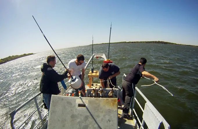 Four crew working at the bow of a small boat on open water, fishing rods overhead and a low shoreline on the horizon