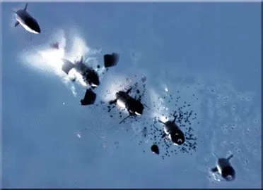 A dispensing munition releasing several smaller submunitions in a cloud of fragments against a blue background